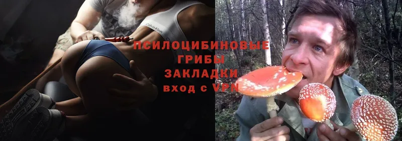 mega   Подольск  Галлюциногенные грибы MAGIC MUSHROOMS  где купить наркоту 